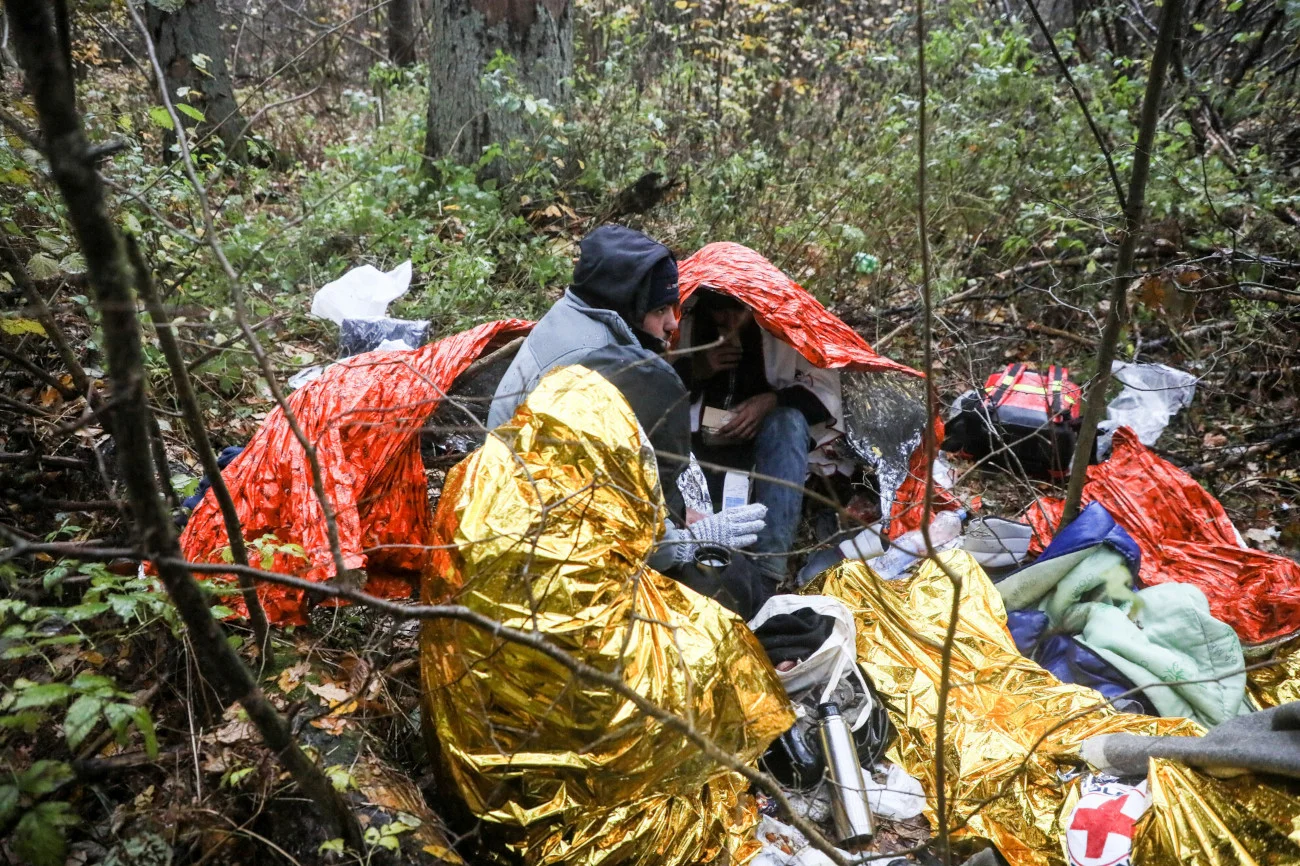 migranci