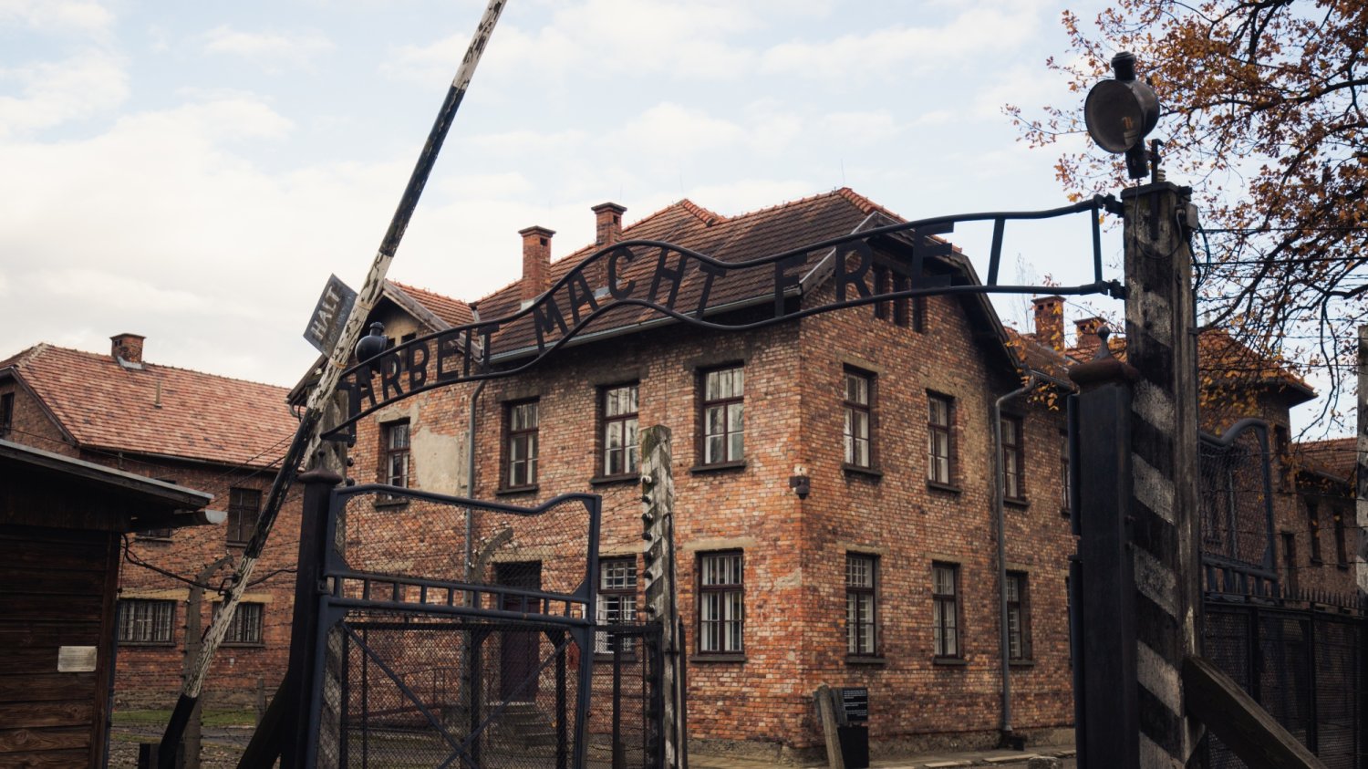 Skandaliczna aukcja w Niemczech. Polska reaguje ws. przedmiotów ofiar Auschwitz