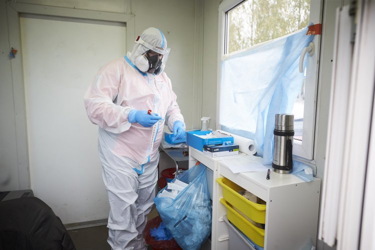 Koronawirus. Prof. Maria Gańczak wskazuje błędy rządu.