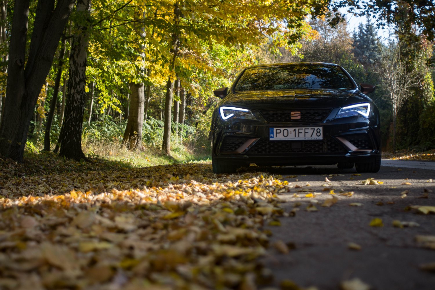 Seat Leon Cupra R to ostatni taki Seat. I jest ich tylko 799.