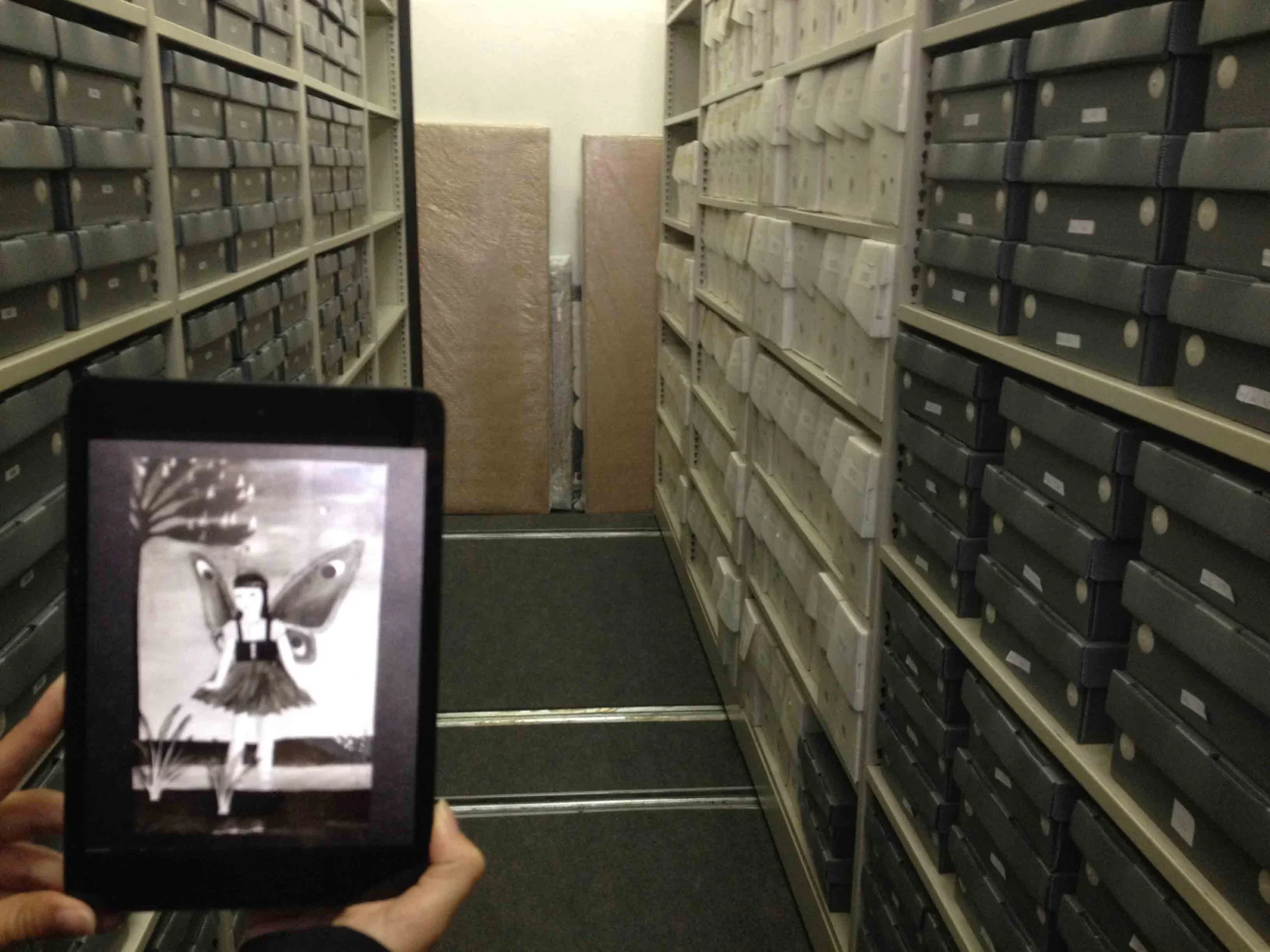 LOST BUTTERFLY, 2015, video still