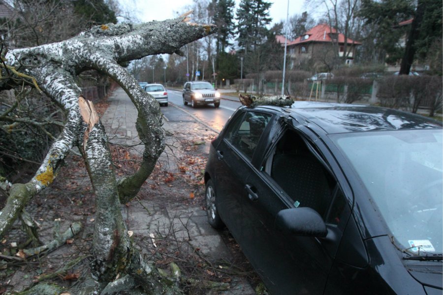 Ogromne straty wywołały w Polsce wichury.