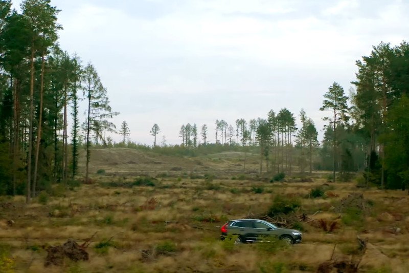 Volvo już po raz trzeci przygotowało wypożyczalnię choinek. Po świętach każde drzewko zostanie ponownie zasadzone.