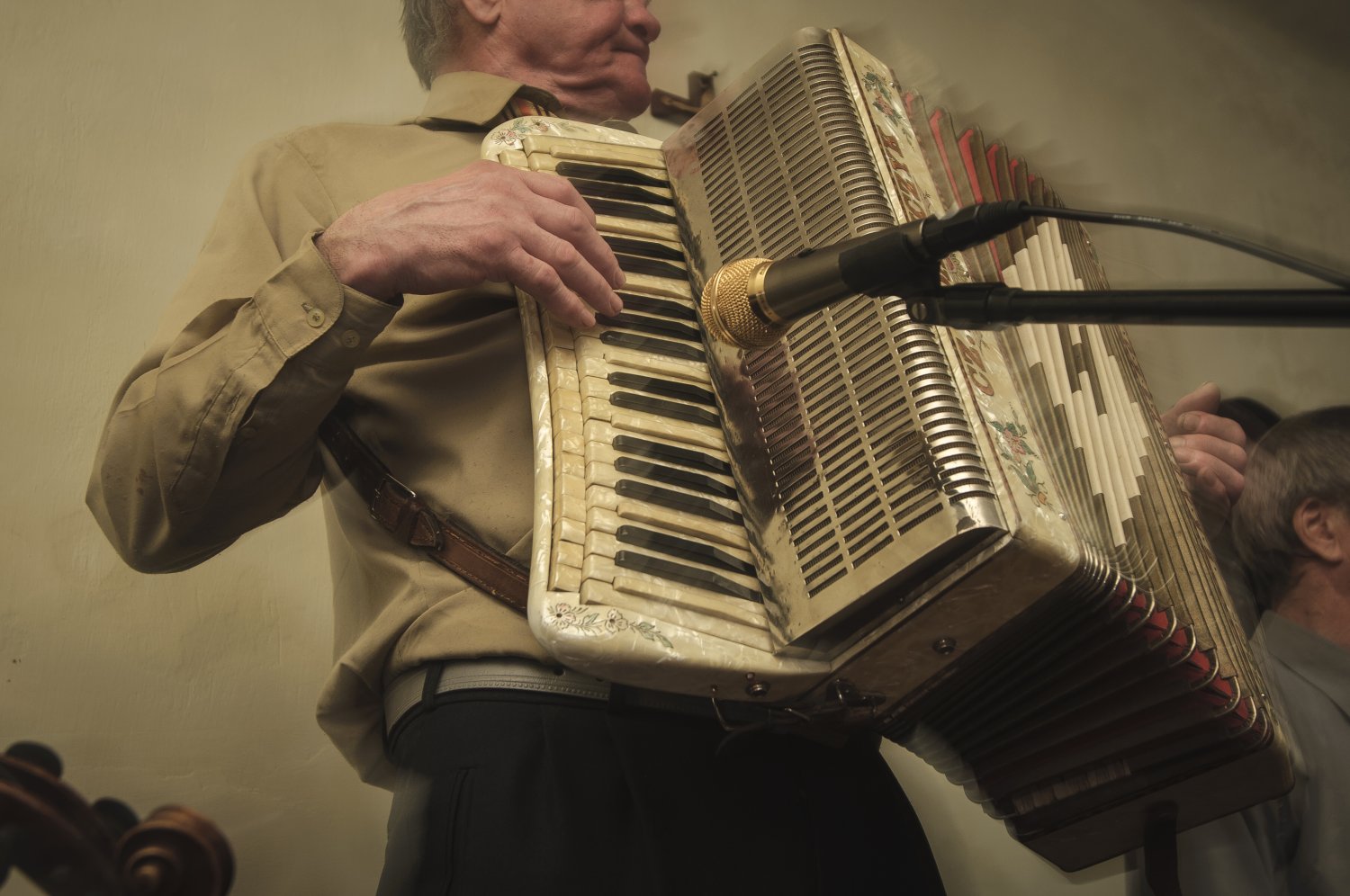 harmonista Tadeusz Lipiec / zabawa w Wygnanowie