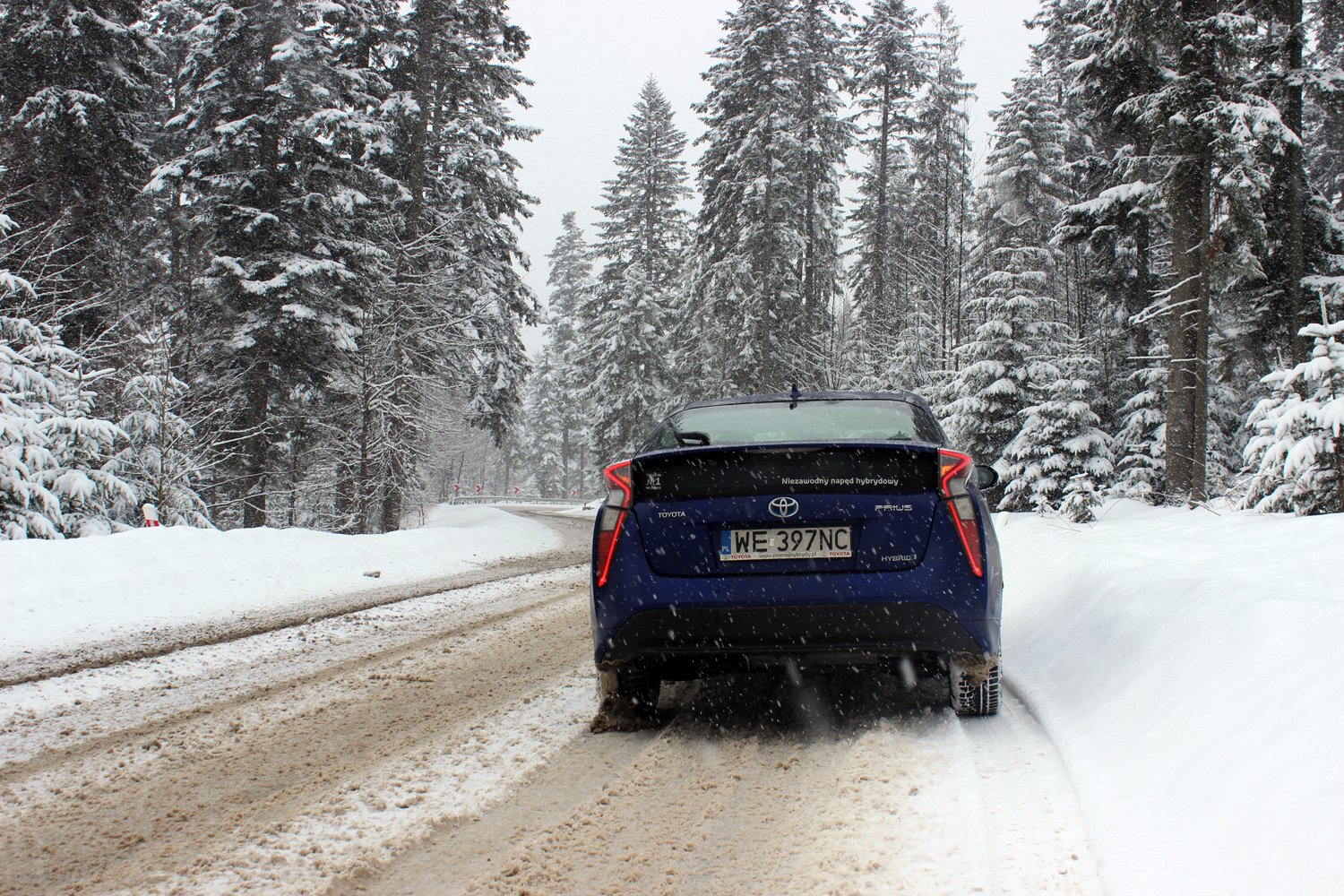 Toyota Prius w swoim niekoniecznie naturalnym środowisku radzi sobie bez zarzutu