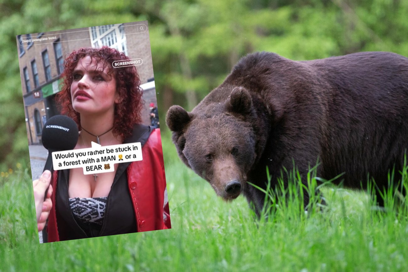 Mężczyzna czy niedźwiedź? Kogo wolisz spotkać w lesie? [SONDA]