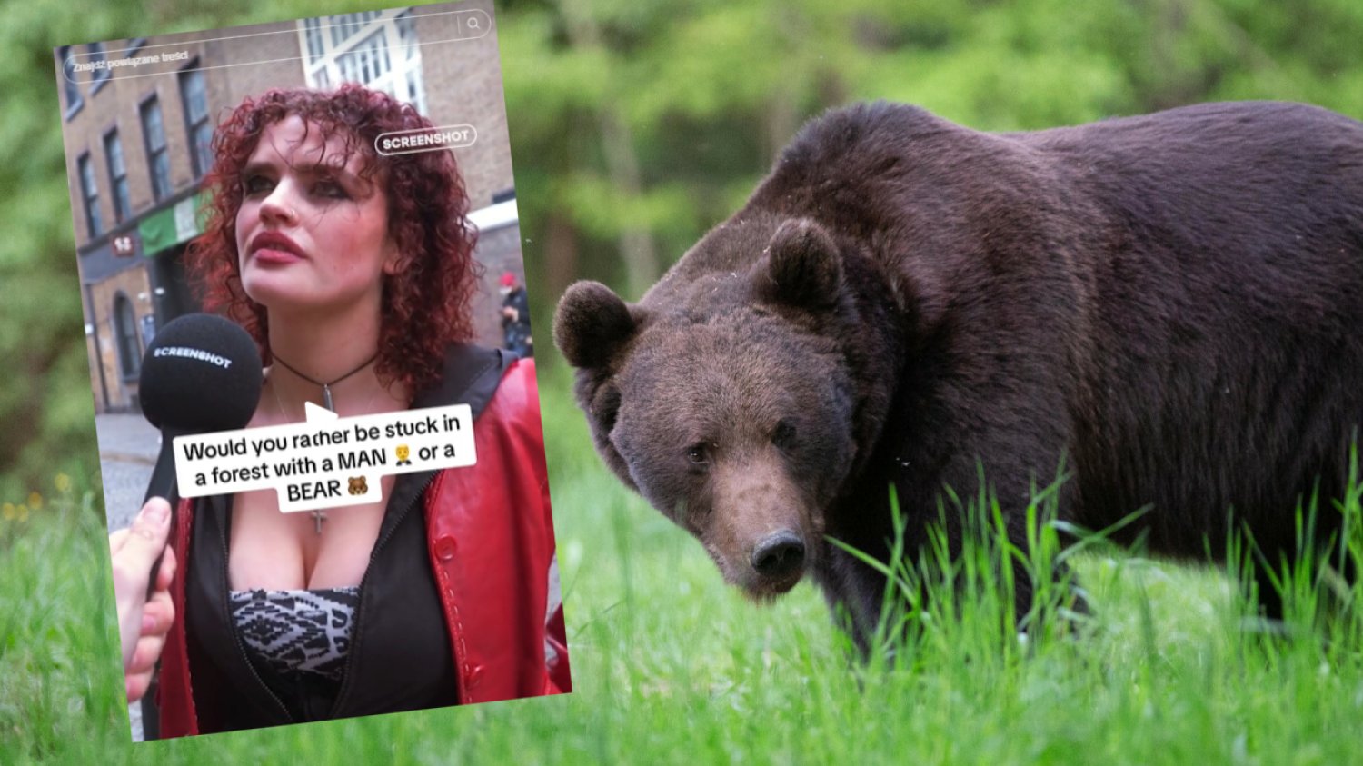 Mężczyzna czy niedźwiedź? Kogo wolisz spotkać w lesie? [SONDA]