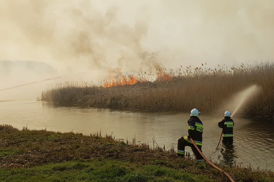 Płonie Biebrzański Park Narodowy. W internecie prowadzona jest zbiórka, w której można wesprzeć strażaków gaszących ogromny pożar.