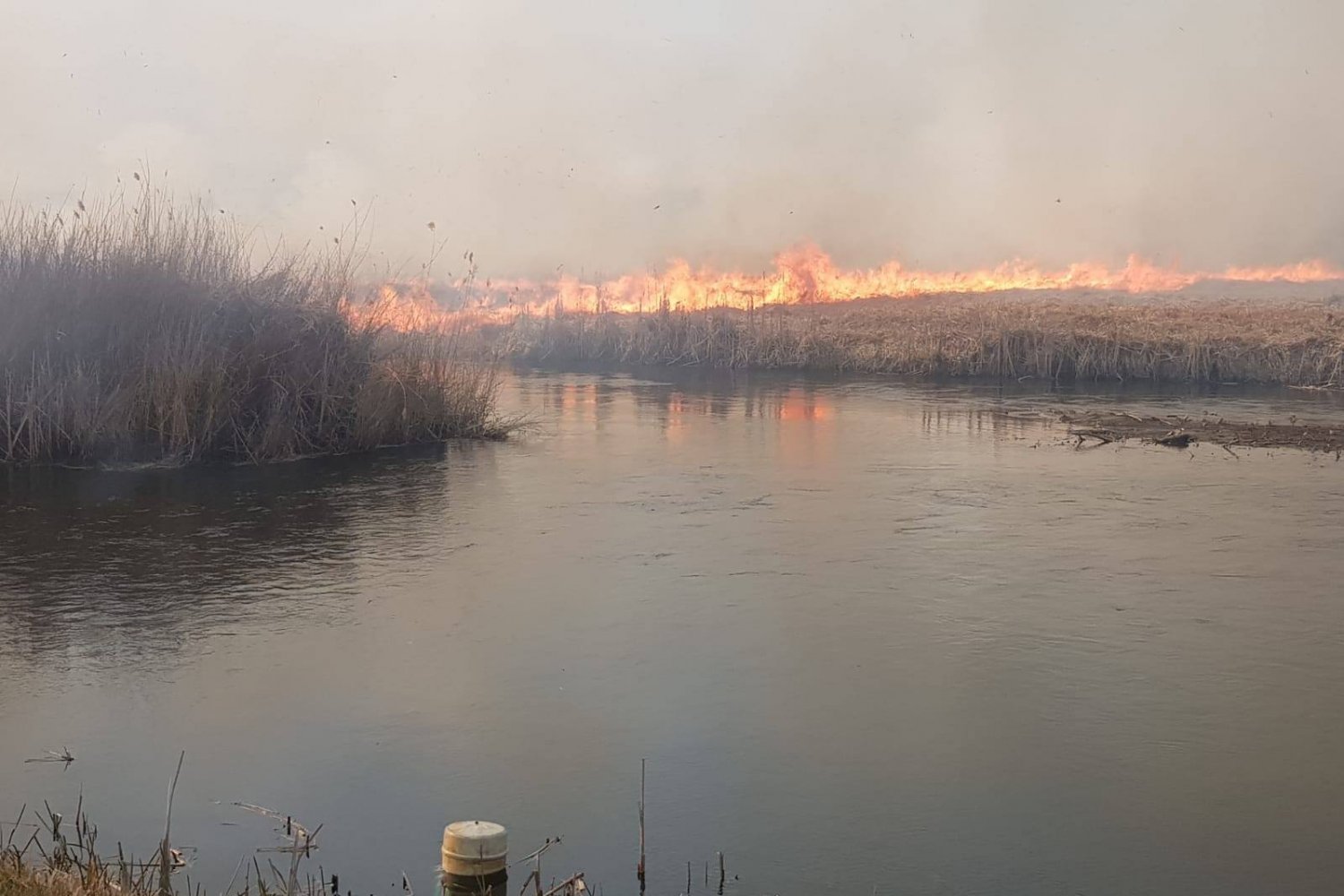 Jak przekazała Komenda Główna Policji, przyczyną pożaru w Biebrzańskim Parku Narodowym było nielegalne wypalanie traw i zaprószenie ognia. Udało się opanować pożar w Biebrzańskim Parku Narodowym. Ogień strawił 6 tys. hektarów lasu.