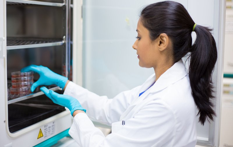 PiS chce zakazu wykonywania zawodu przez pięć lat dla lekarzy wykonujących in vitro