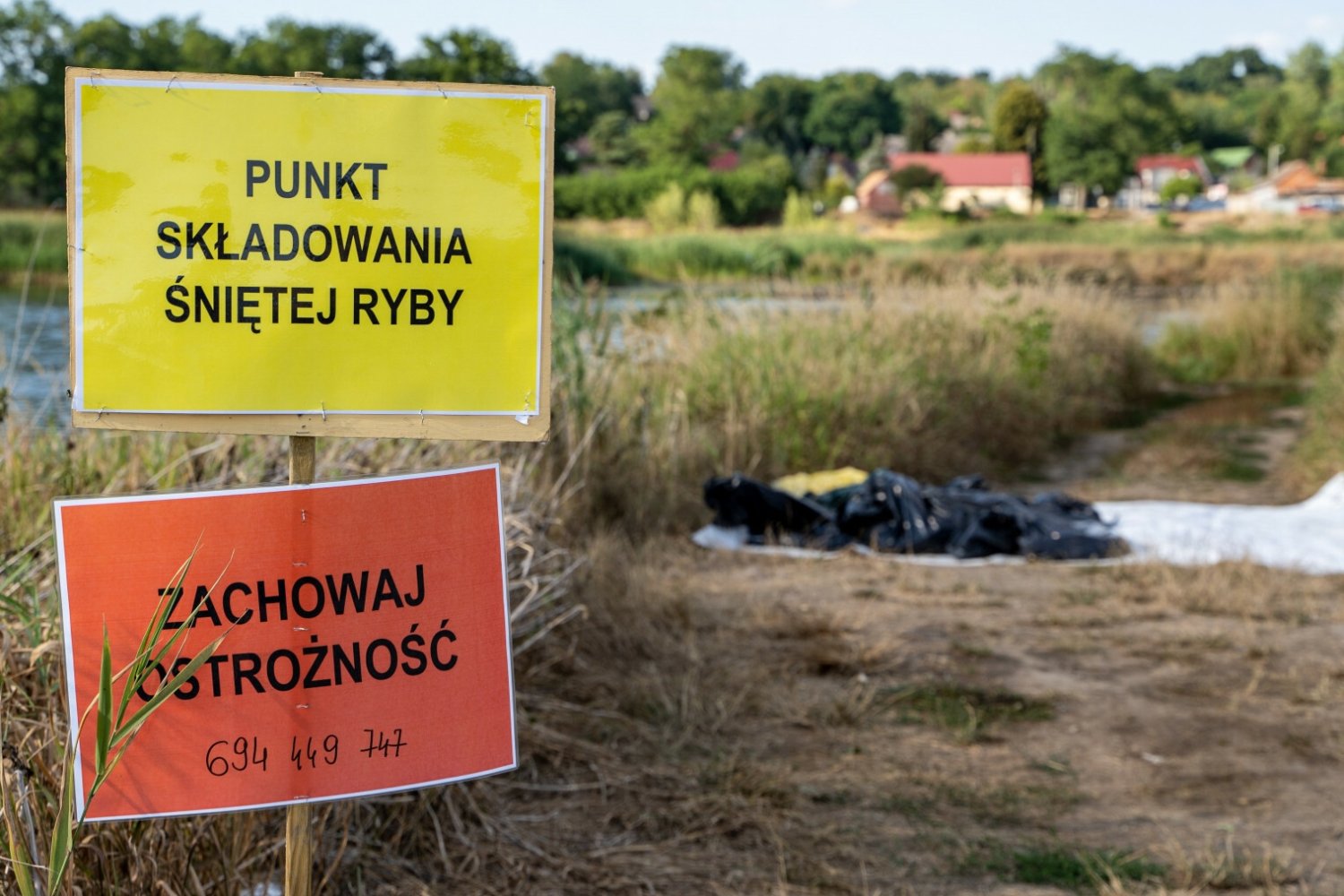 Władze woj. lubuskiego chcą, aby wprowadzić stan klęski żywiołowej.