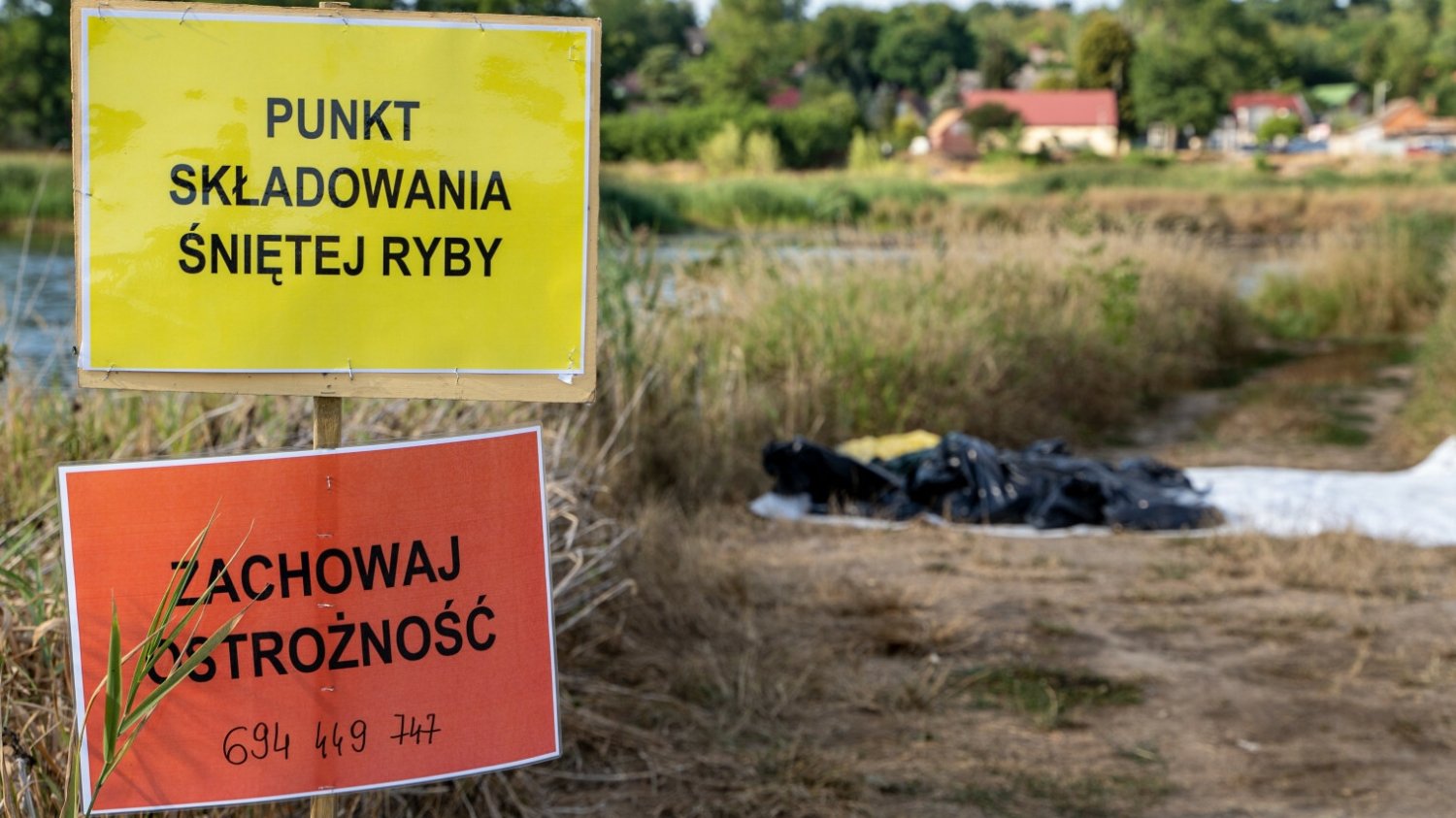 Władze woj. lubuskiego chcą, aby wprowadzić stan klęski żywiołowej.