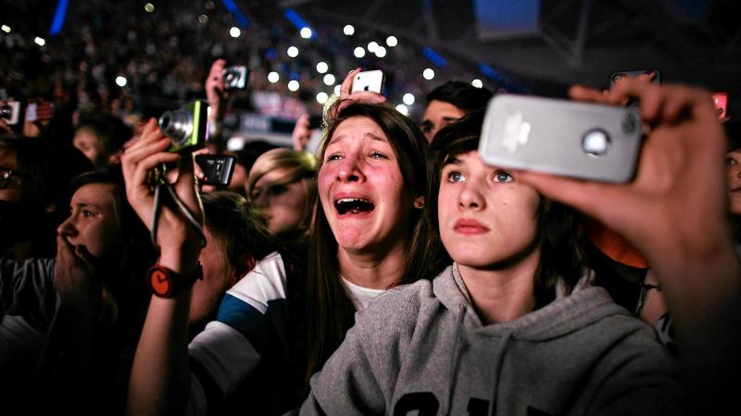 Fanki One Direction - obok miłośniczek Biebera - należą do najbardziej fanatycznych