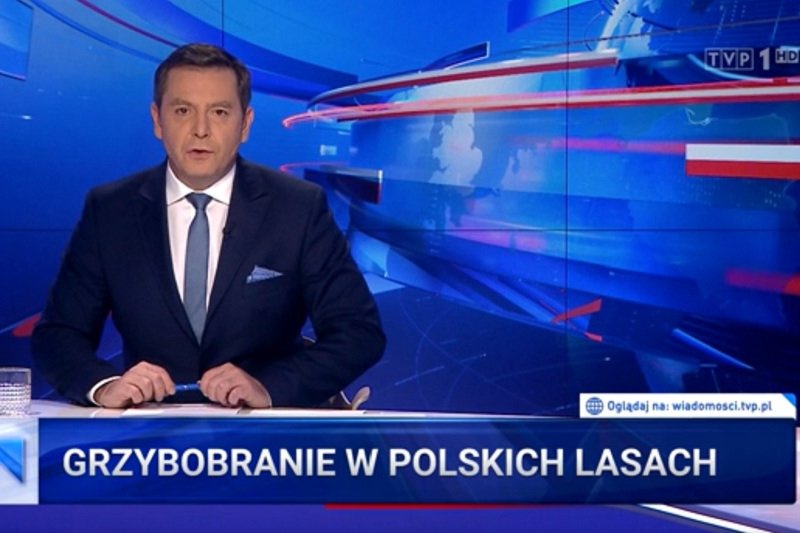 "Wiadomości" TVP znowu uderzyły w PO. Tym razem w materiale o grzybobraniu.