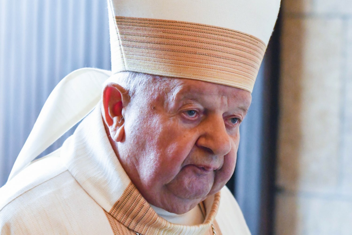 Kardynał Stanisław Dziwisz.