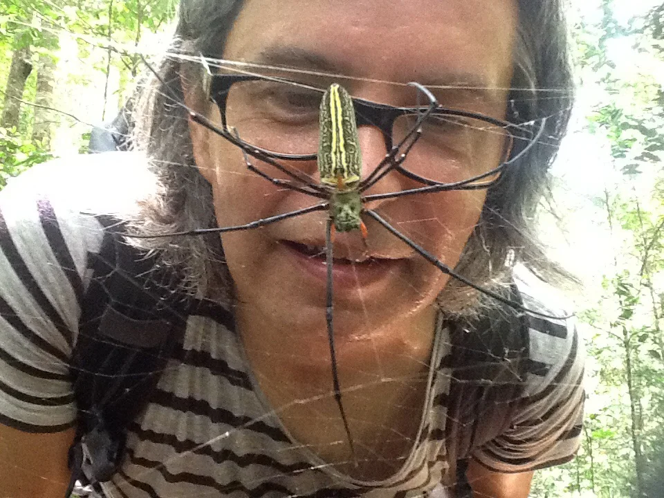 Singharaja Rainforest, Sri Lanka