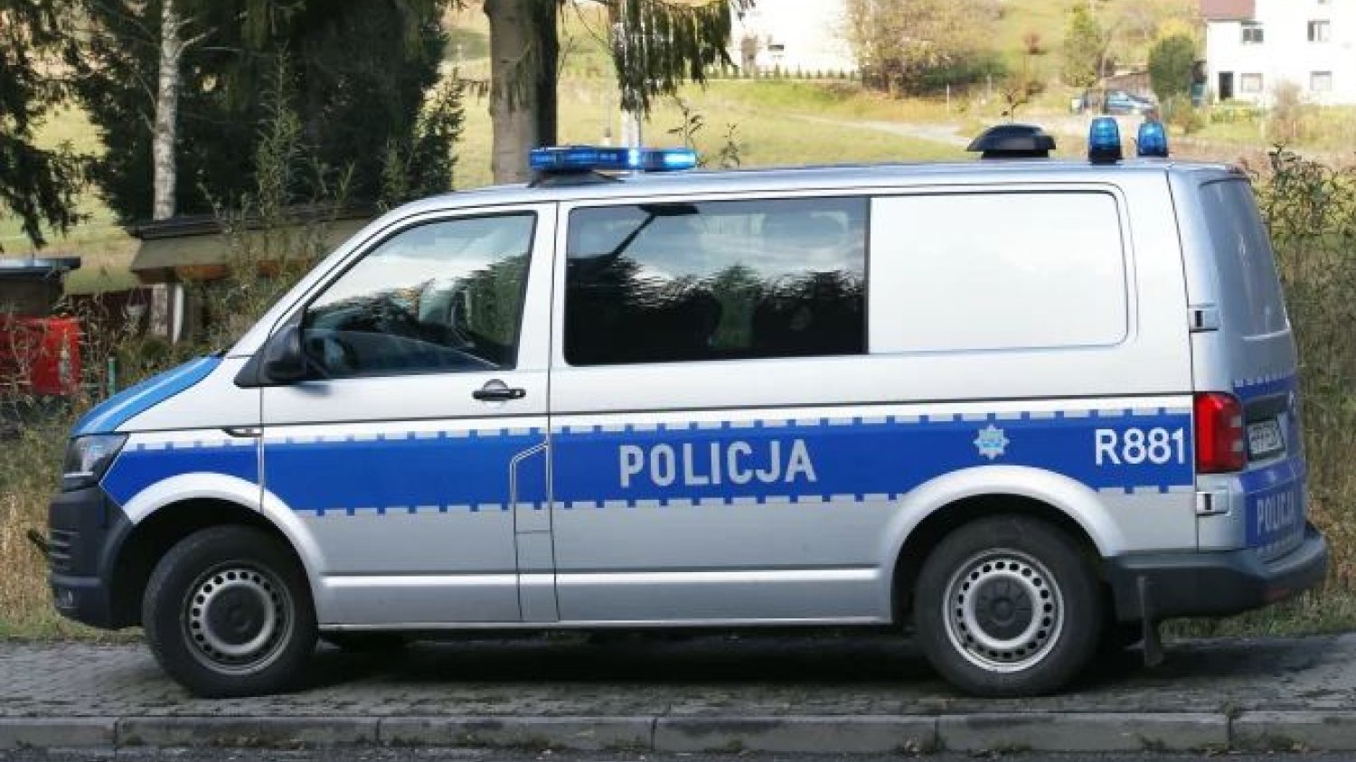 Rodzice z Przemkowa katowali swoich dwóch malutkich synków.