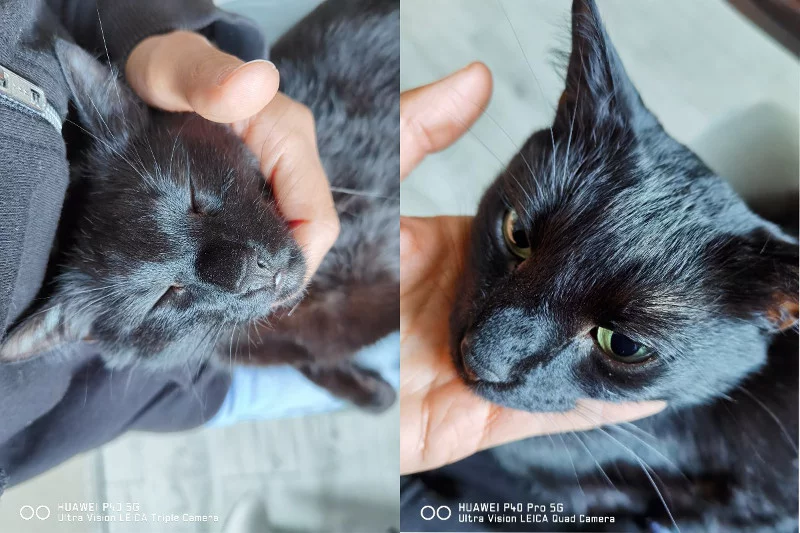 Różnice pomiędzy zdjęciami dostrzeżecie tylko na dużym monitorze. Tu porównanie fotografii z tegorocznych modeli: P40 i P40 Pro.
