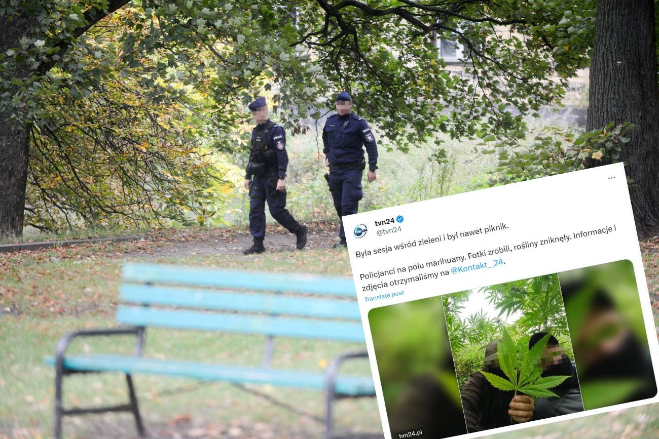 Raszyn: policjanci piknikowali na polu marihuany. Co potem się stało?