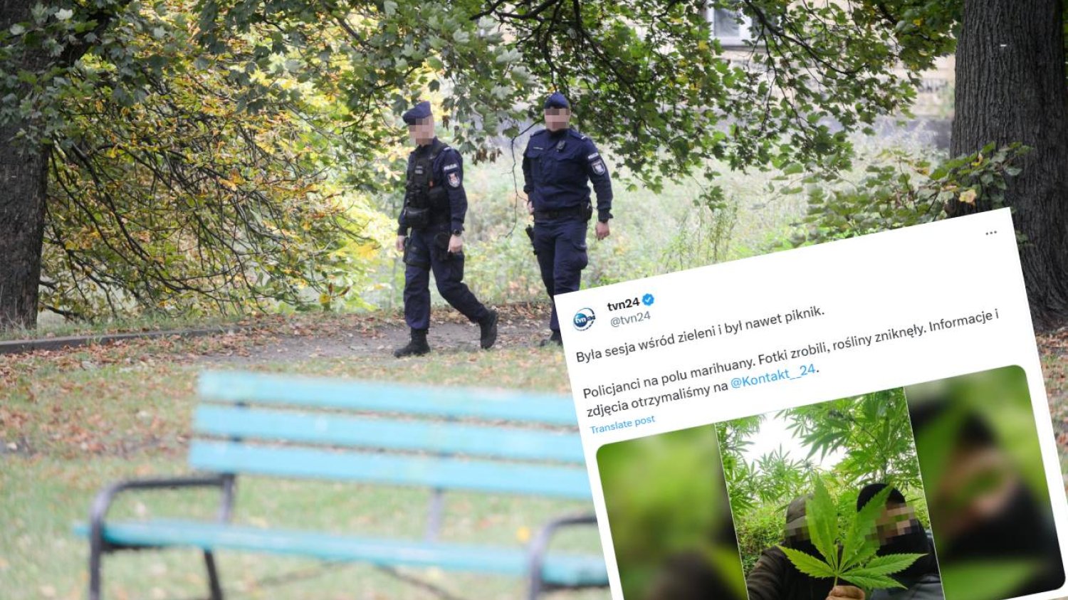 Raszyn: policjanci piknikowali na polu marihuany. Co potem się stało?