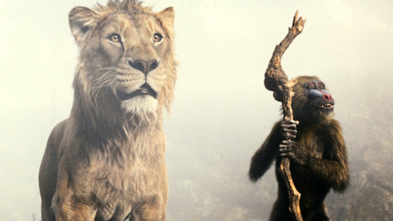 Kiedy premiera filmu "Mufasa: Król lew" na Disney+? Oto konkretna data