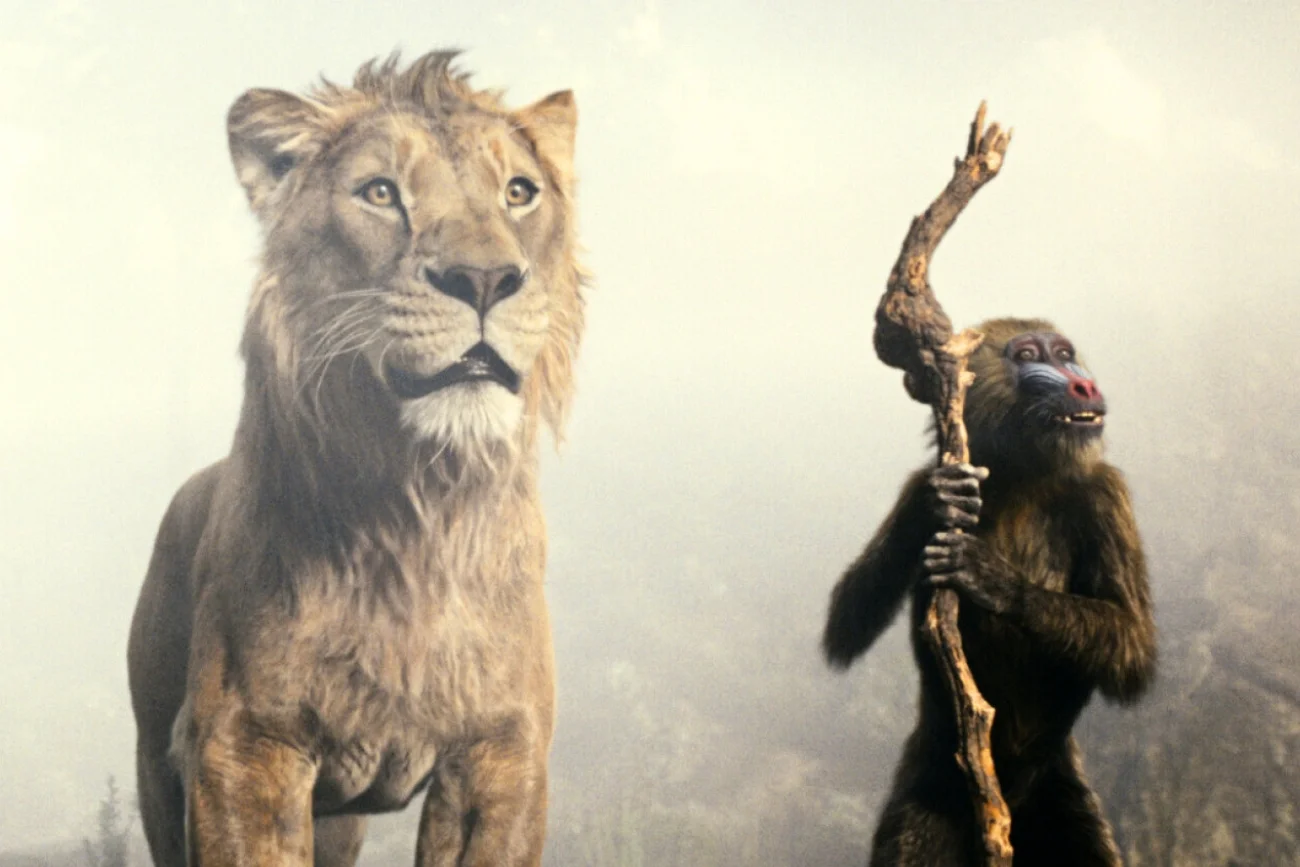 Kiedy premiera filmu "Mufasa: Król lew" na Disney+? Oto konkretna data