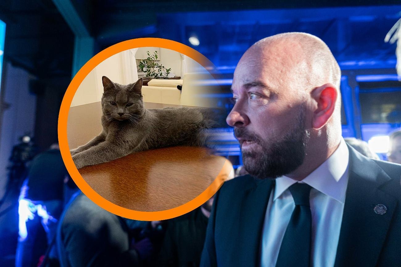 Kot Wrocek jest maskotką wrocławskiego ratusza