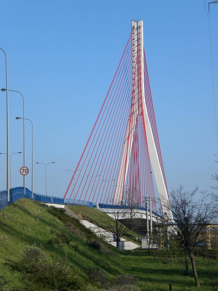 Most Jana Pawła II – most wantowy (podwieszany) w Gdańsku na Martwej Wiśle. Jest największym jednopylonowym mostem podwieszanym w Polsce.