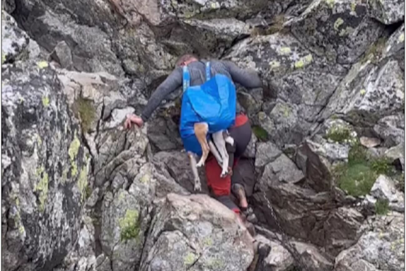 Mężczyzna wspinał się z psem w  torbie na zakupy