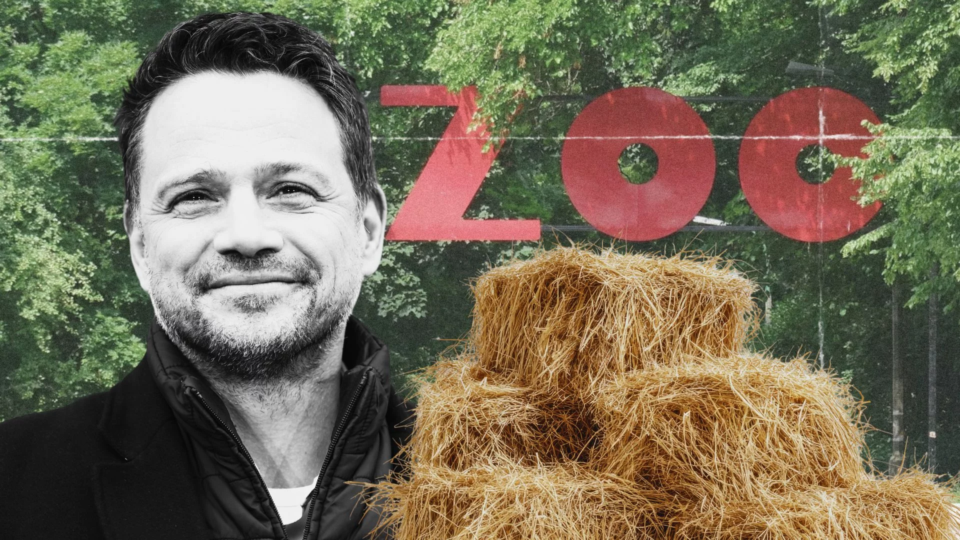Afera o siano z Niemiec dla warszawskiego ZOO. "Prawicowi śledczy" trafili kulą w płot