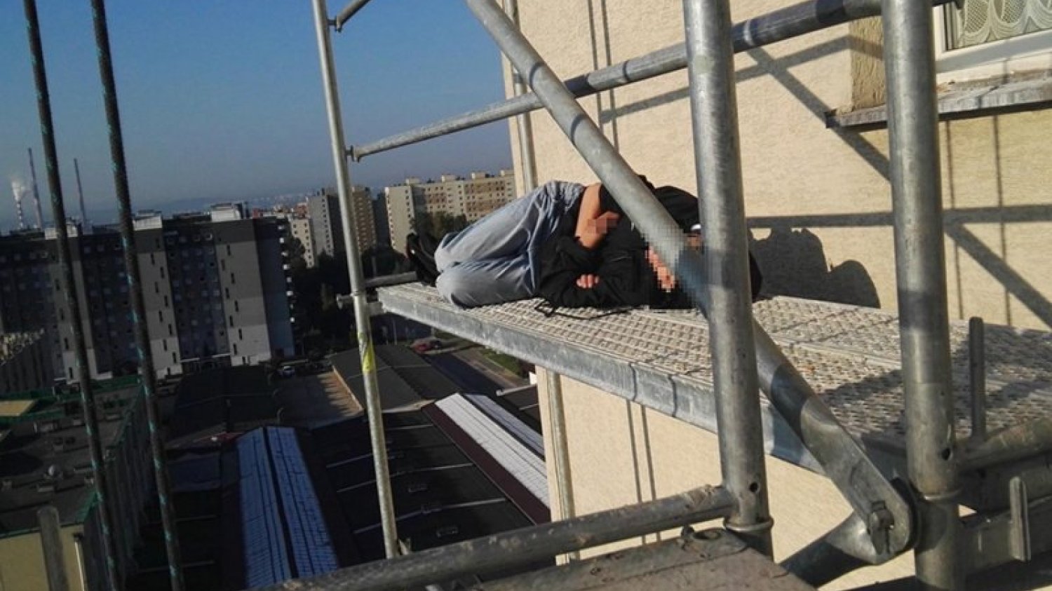 Spała na wysokości 30-metrów. Krakowscy strażnicy miejscy może nawet uratowali jej życie.