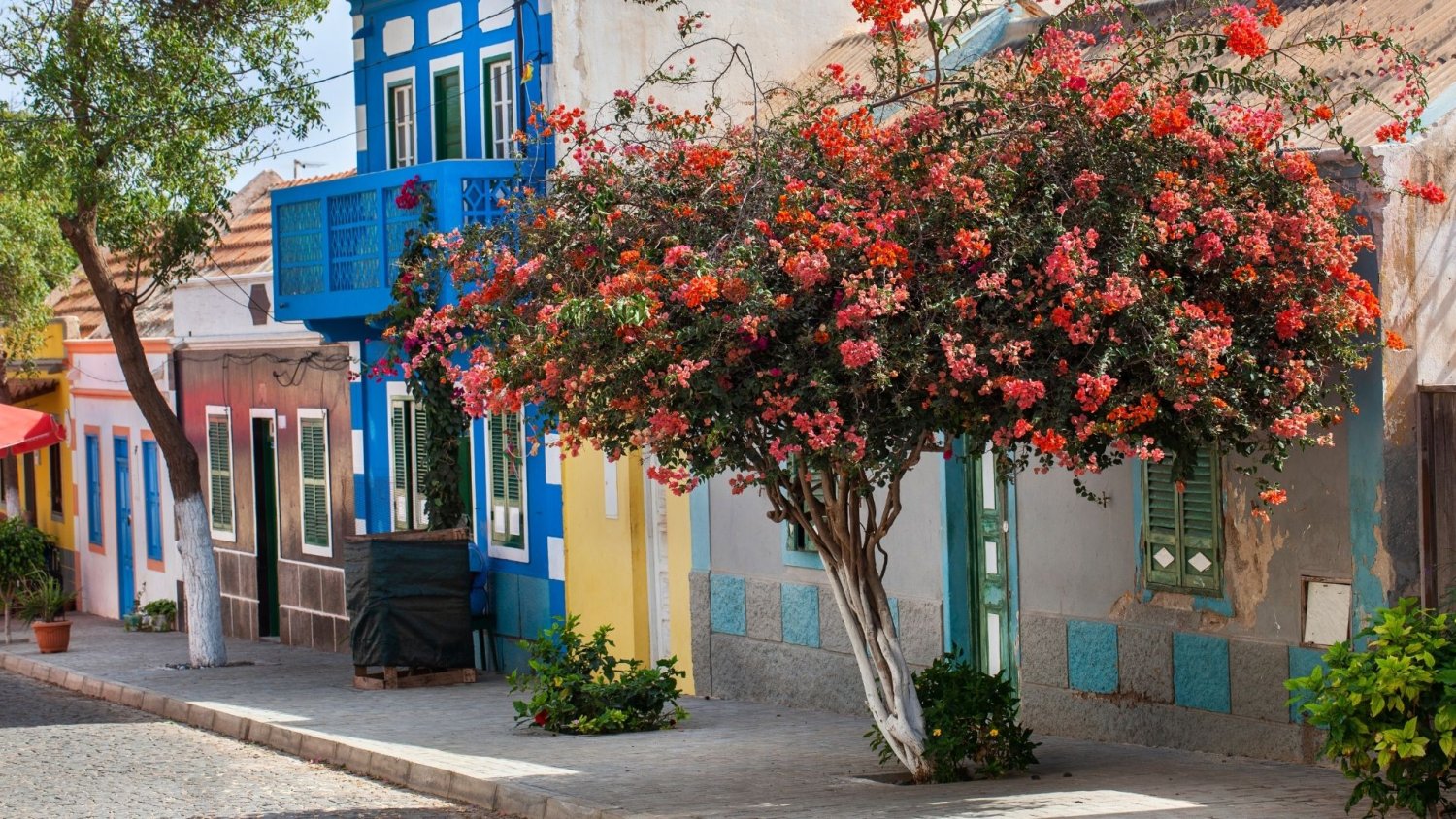 Nazywają je "nowymi Wyspami Kanaryjskimi". Kuszą pięknymi plażami i brakiem tłumów