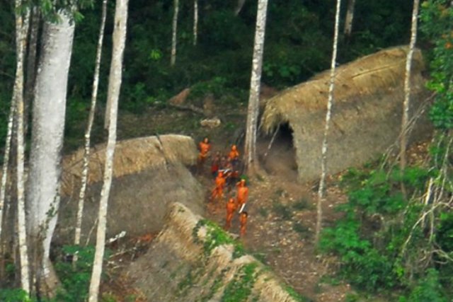 W rejonie Doliny Javari miały miejsce masowe mordy Indian.