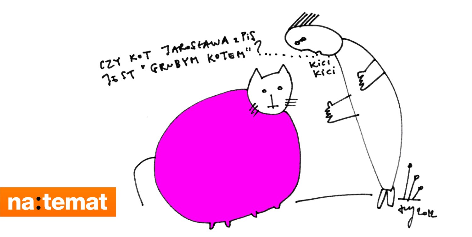 autor: tsy, wroclove 2012