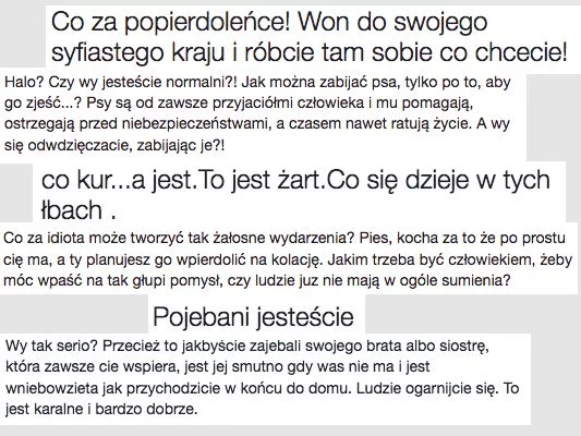 Jedzenie psiego mięsa to kontrowersyjny temat.