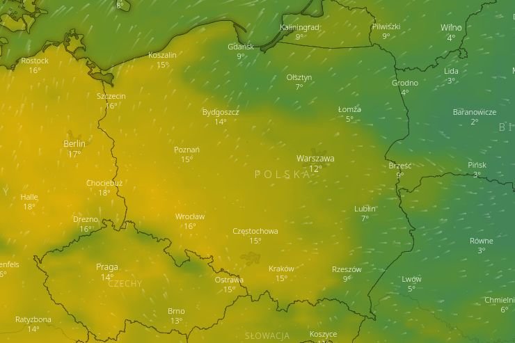 Pogoda w ostatnim tygodniu lutego będzie iście wiosenna