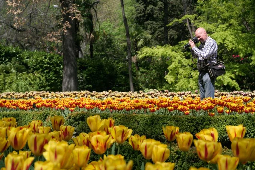Zdjęcie od[url=https://www.facebook.com/pages/Real-Jardin-Botanico/192856724121120?fref=photo] Real Jardin Botanico [/url]