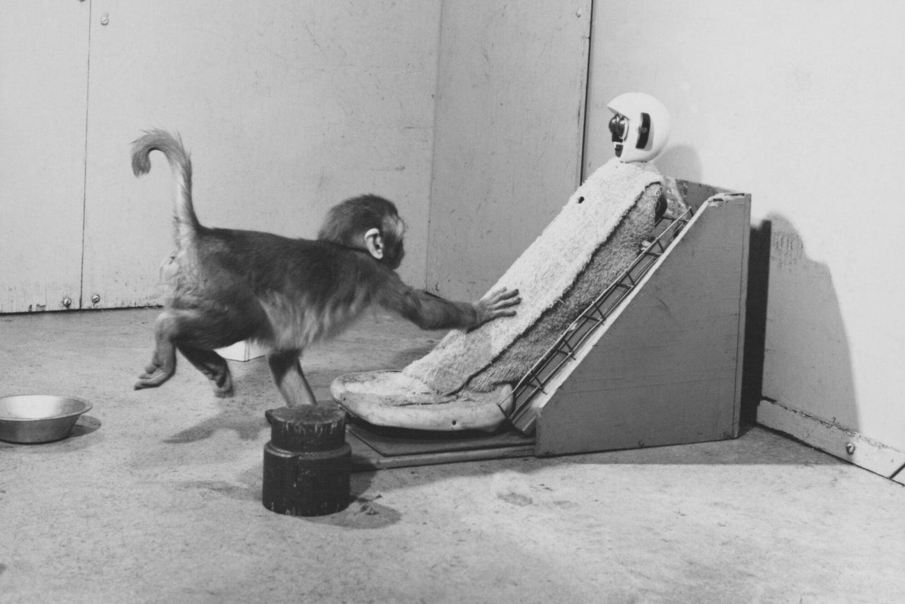 3 kontrowersyjne eksperymenty psychologiczne.