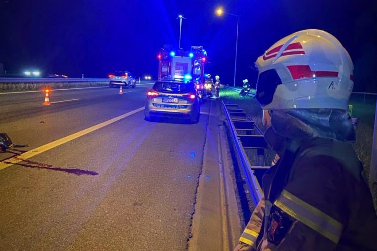 Wypadek na autostradzie A2. Zderzenie samochodu z łosiem.