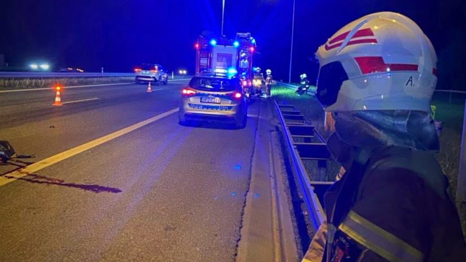Wypadek na autostradzie A2. Zderzenie samochodu z łosiem.