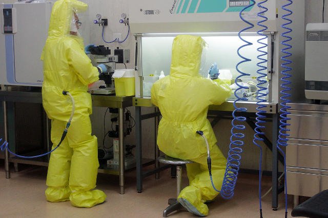 Wirus Ebola zabił ponad 11.300 osób.