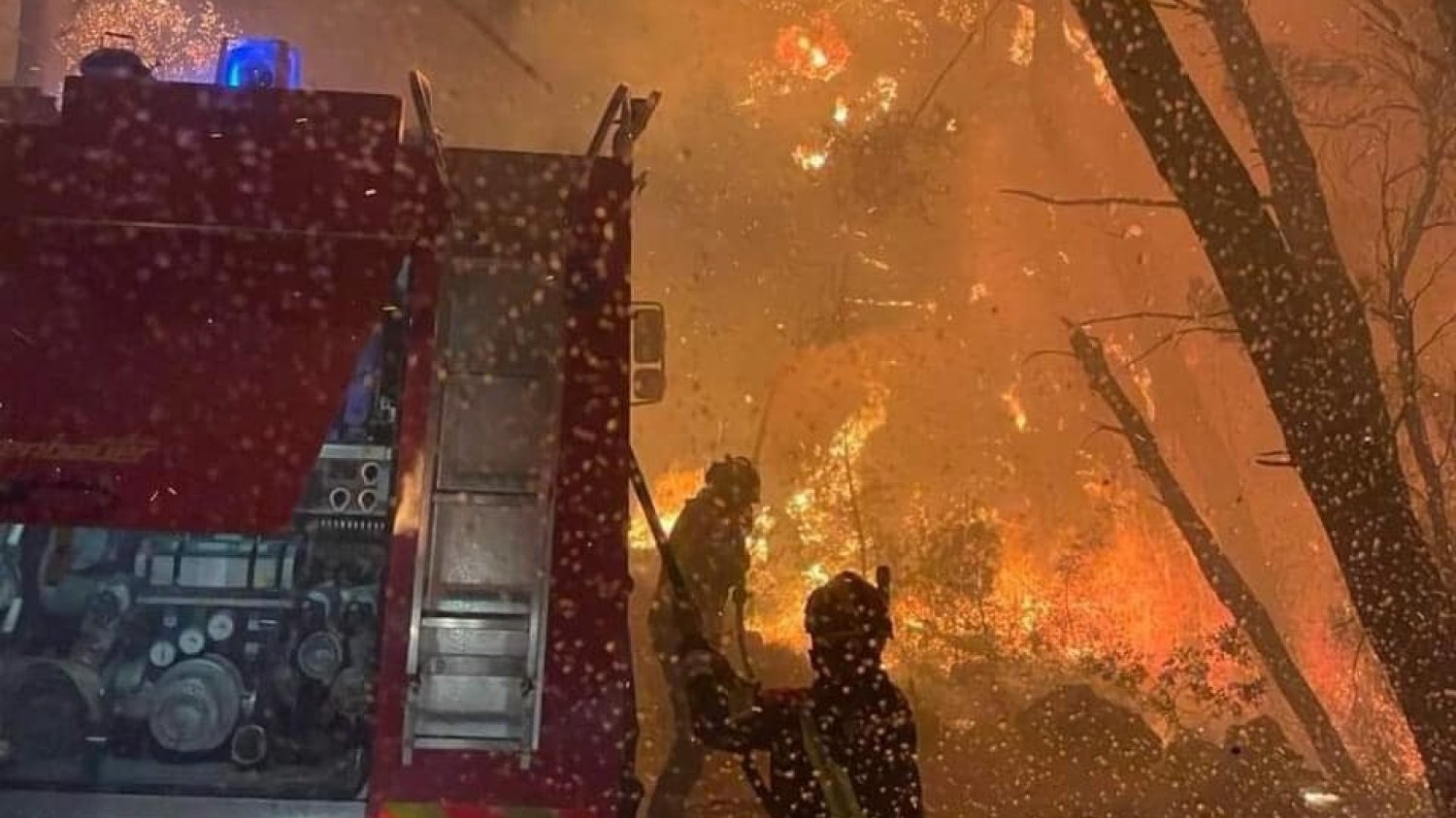 Strażacy z Makarskiej proszą o pomoc.