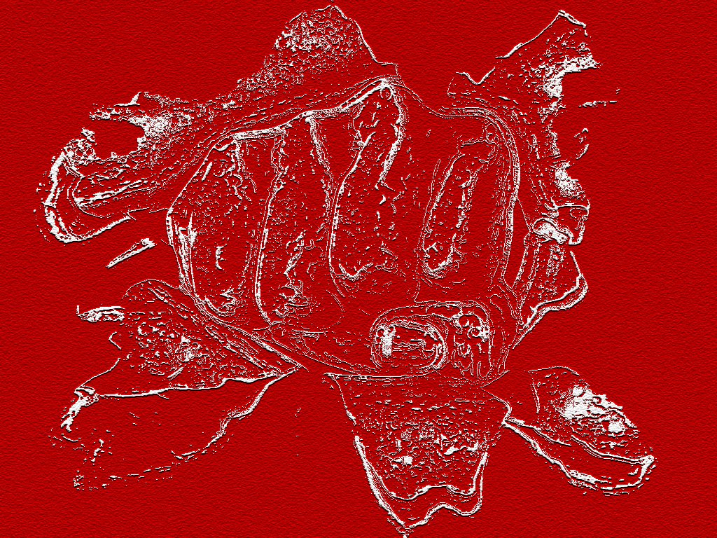 Niektórzy zrobią wszystko, aby ominąć istniejące problemy