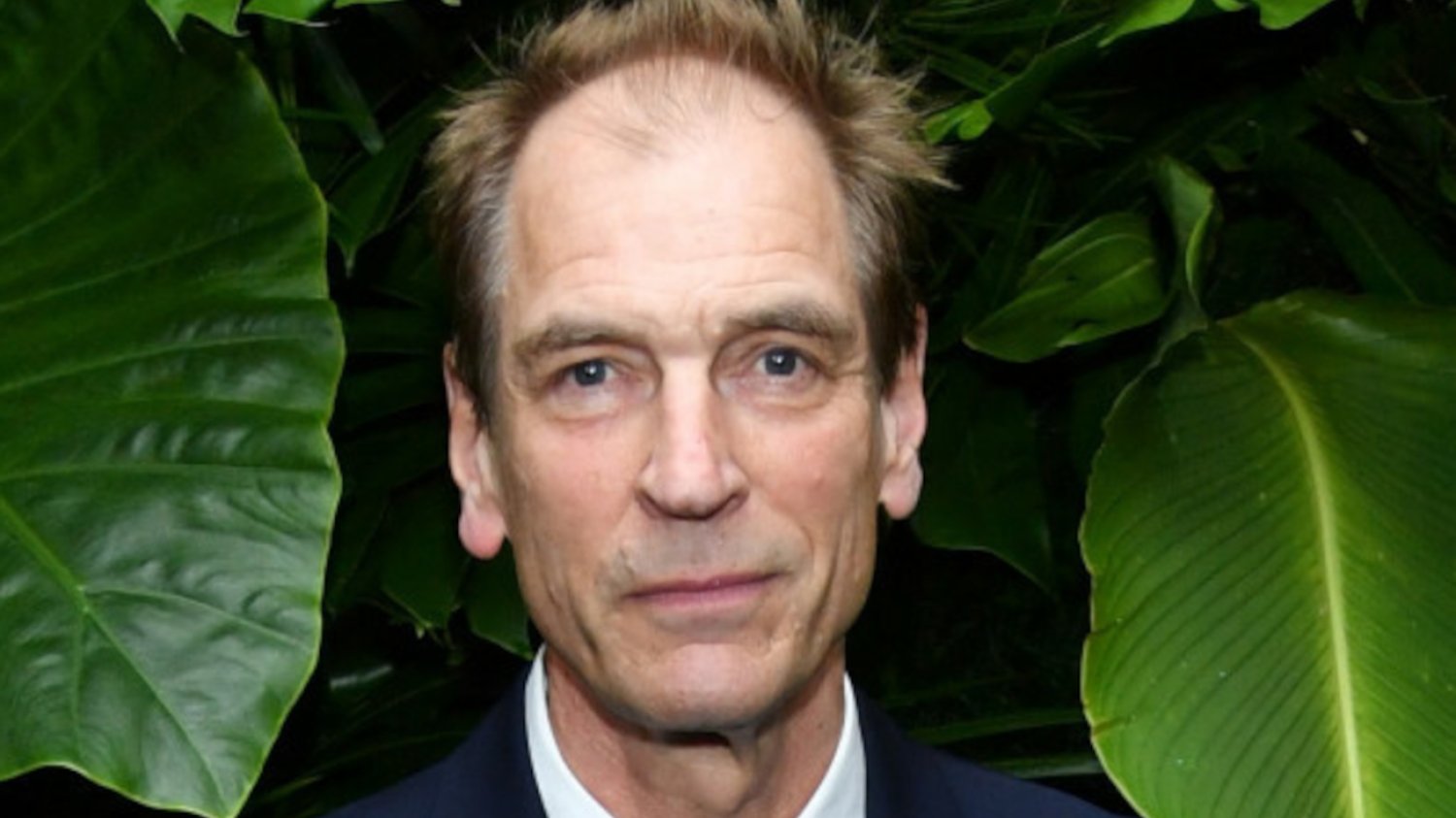 Julian Sands ("Pokój z widokiem") zaginął w górach.