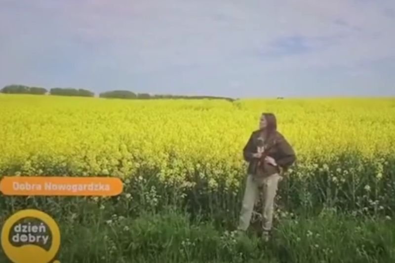 Wpadka w "Dzień dobry TVN"