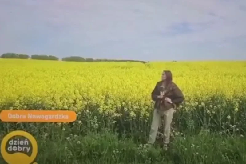 Wpadka w "Dzień dobry TVN"