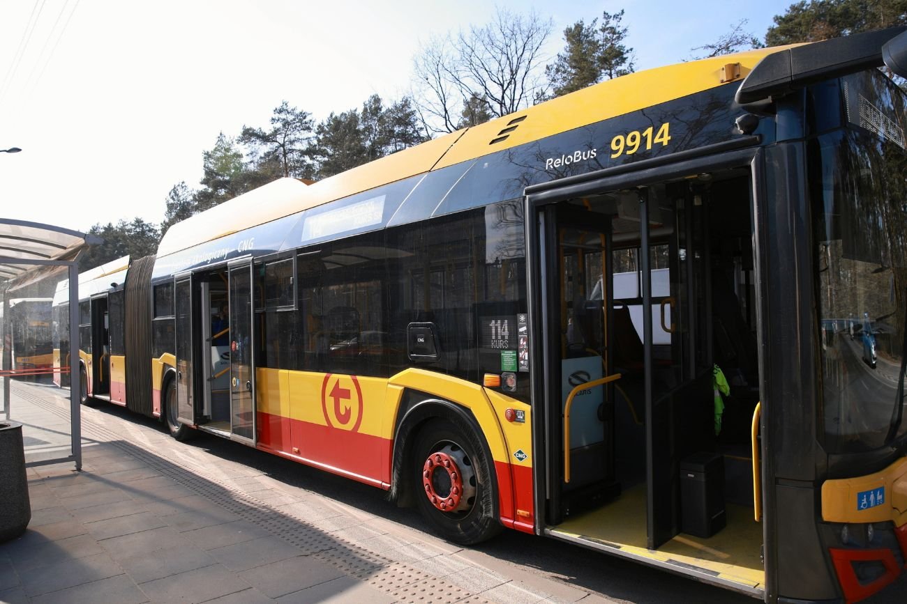 ZTM chce prawie 800 zł kary za pluszowego jamnika w autobusie. W sprawie powstała petycja