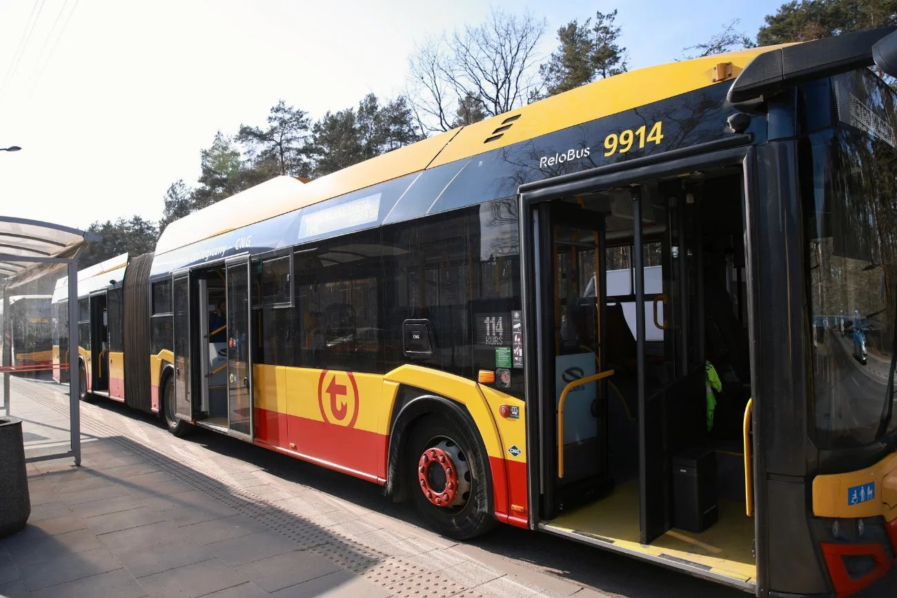 ZTM chce prawie 800 zł kary za pluszowego jamnika w autobusie. W sprawie powstała petycja. ZTM wymierza karę za pluszaka w autobusie. Pani Anna utworzyła petycję.