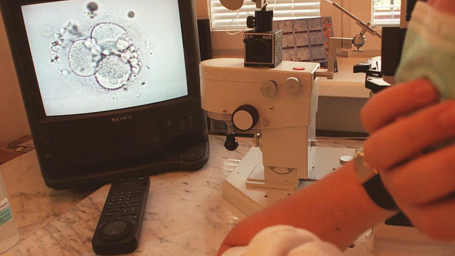 In vitro będzie dostępne tylko dla osób zamożnych.