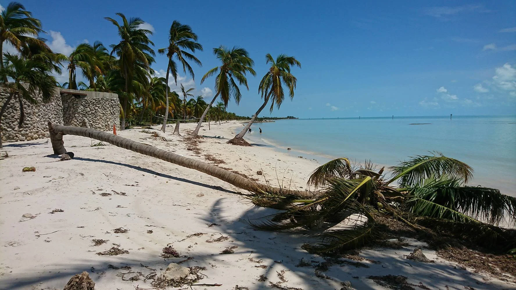 Key West Floryda 2017 po przejściu huraganu Irma